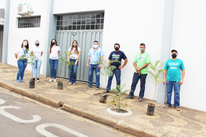 Equipe do Anglo e da Unijales, junto aos funcionários da SABESP de Jales fizeram o plantio em frente ao Anglo