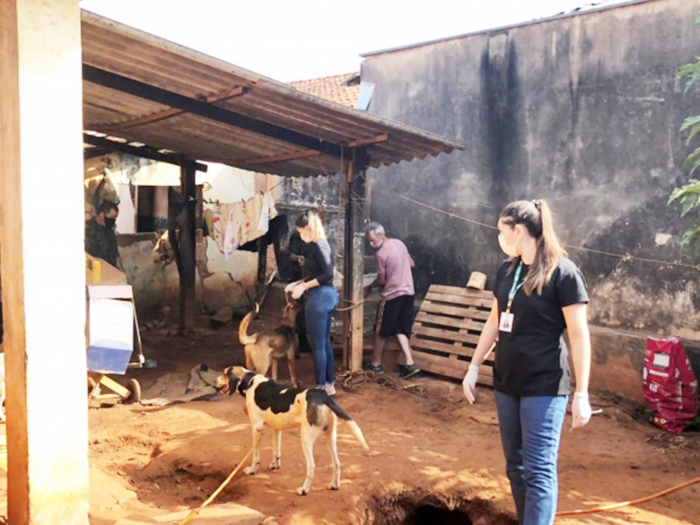 39 animais foram resgatados durante ação