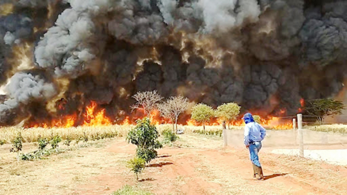 Incêndio atinge grande área entre Paranapuã e Populina