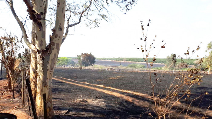 Diversas áreas de pastagem foram destruídas pela ação do fogo