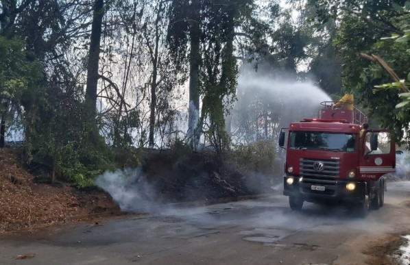 Novo incêndio atinge Instituto Florestal em Rio Preto