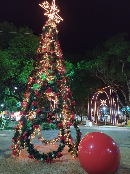 A árvore enfeitada, um dos maiores símbolos do Natal não poderia faltar