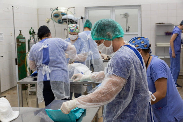 Universidade Brasil reabre Hospital Veterinário do campus de Fernandópolis