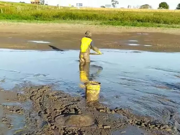 Amigos pedem ajuda para salvar peixes em lagoa que está secando