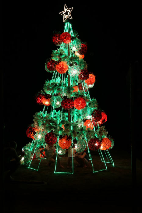 Uma bela árvore de Natal foi erguida