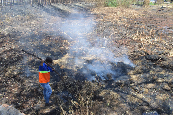 Município de Fernandópolis apura responsabilidades por fogo nas proximidades do frigorífico