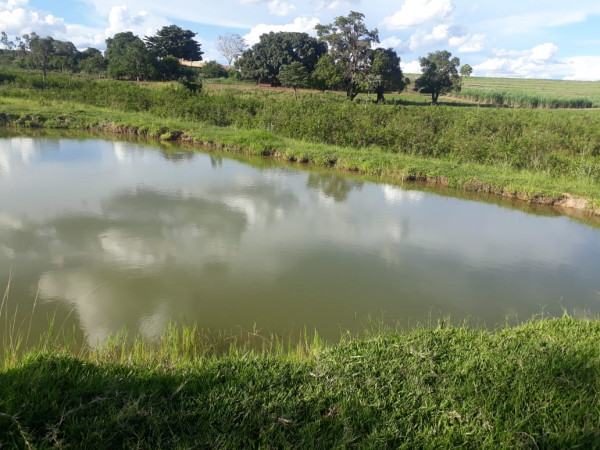 Polícia Ambiental identifica represa irregular em Pontalinda