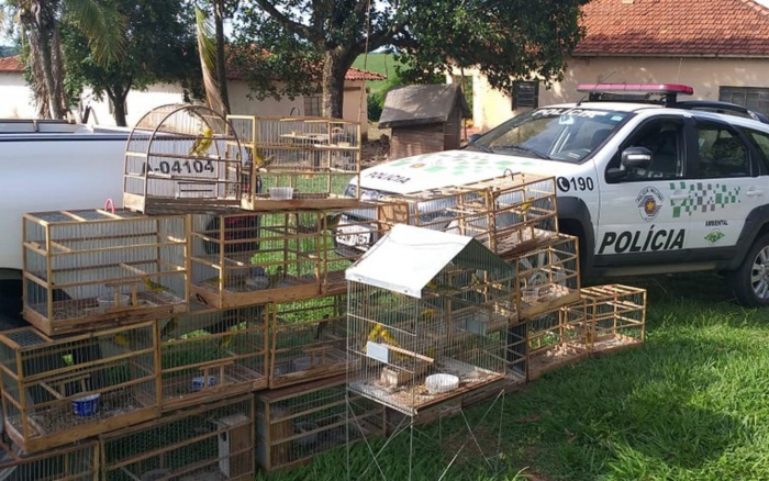 Homem é multado em mais de R$ 23 mil por manter aves em cativeiro na região