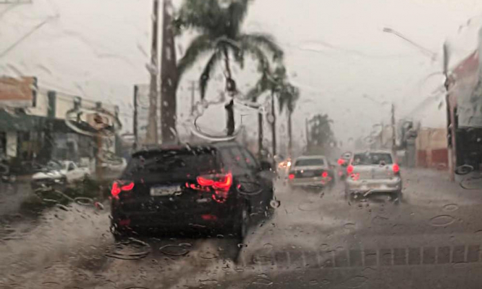 Temporal alaga vias e derruba galhos de árvores em bairros de Jales