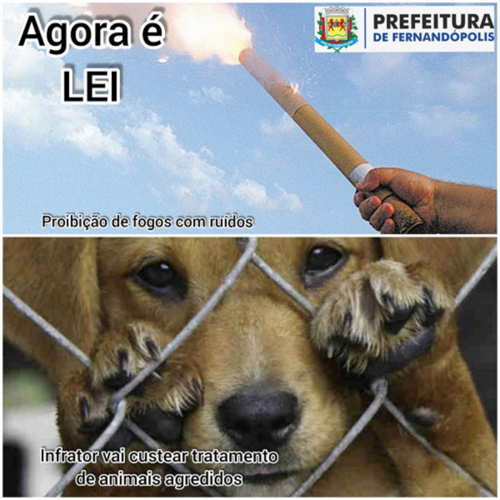 Fernandópolis: prefeito sanciona Leis contra maus tratos de animais e queima de fogos com estampido