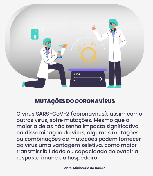 Imagem 2 da galeria