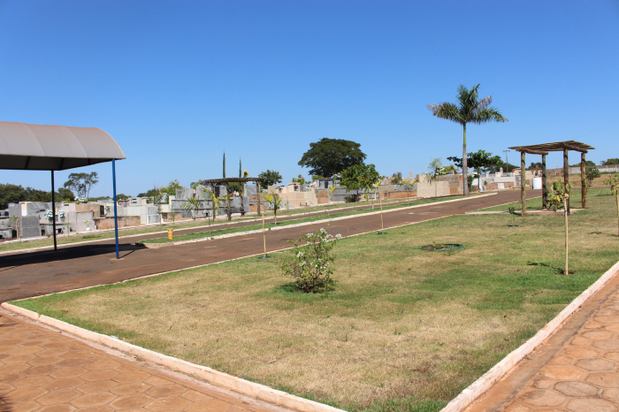 Imagem 5 da galeria
