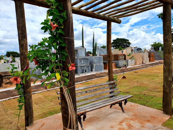 Imagem 1 da galeria