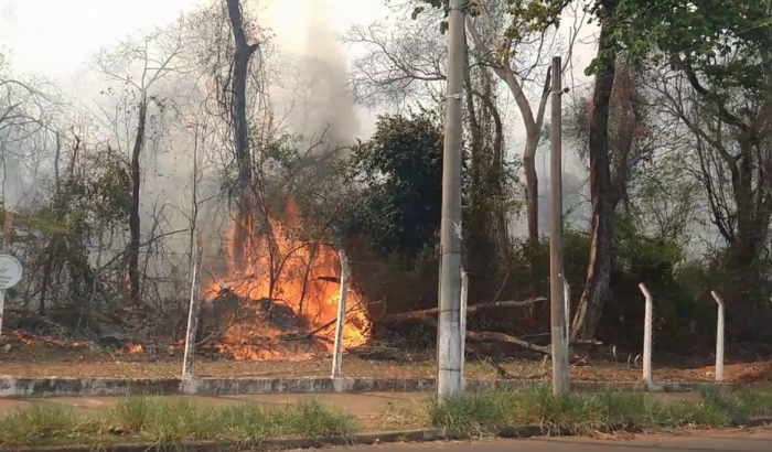 O aumento de registro dos casos de incêndios em terrenos, matas e quintais, que também são causas de danos à saúde e ao meio ambiente preocupam as autoridades