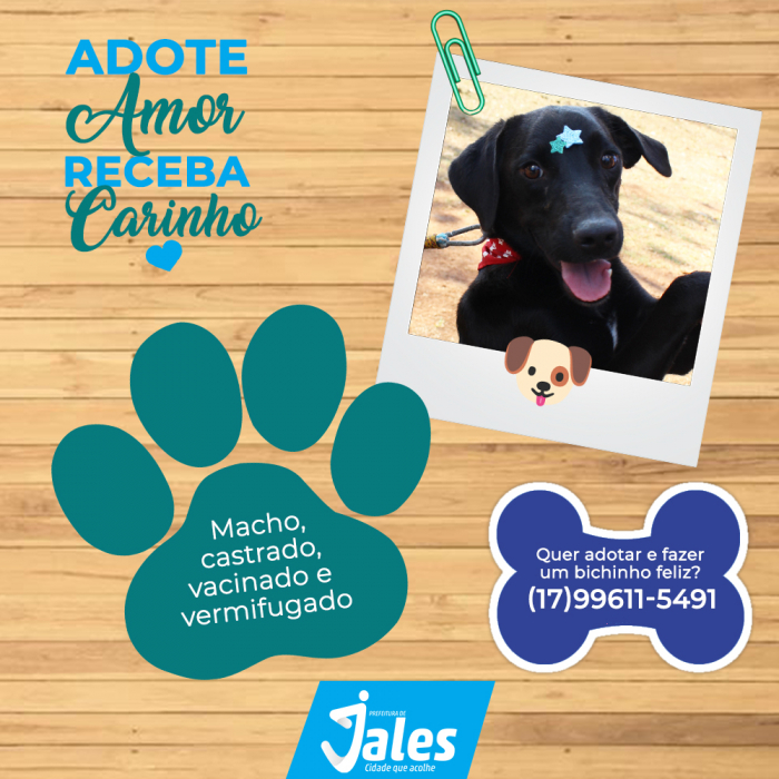 Imagem 2 da galeria