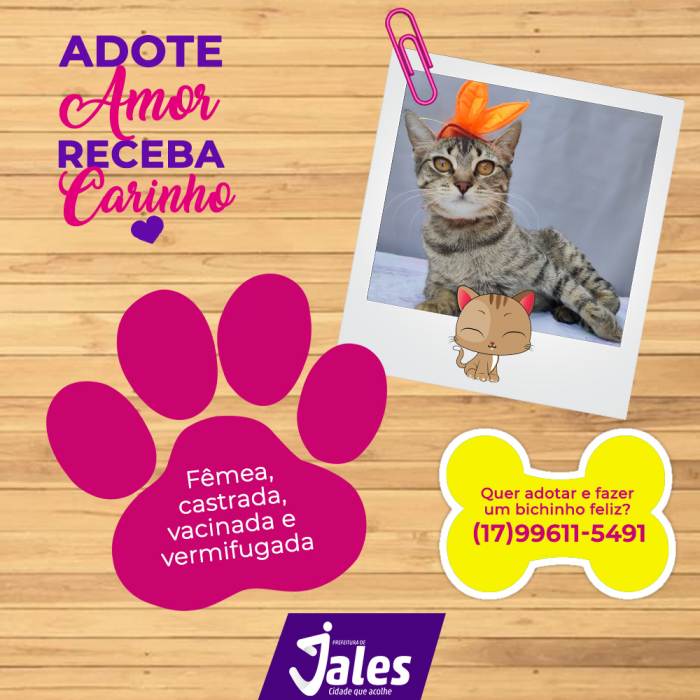 Imagem 3 da galeria