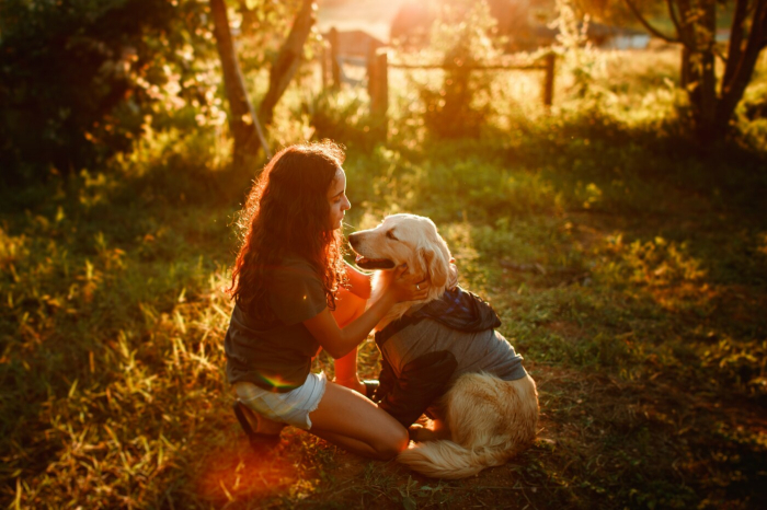 Crianças autistas e a interação com os pets: conheça os benefícios
