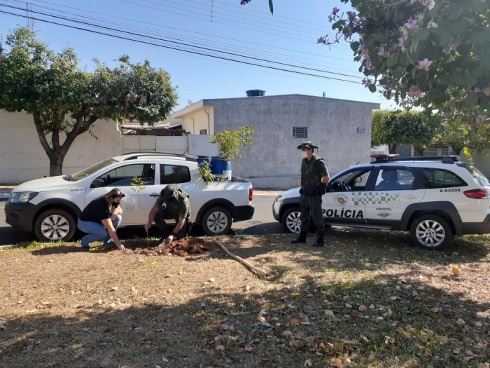 Em comemoração à semana do Meio Ambiente, Secretaria Municipal de Agricultura realiza plantio de mudas