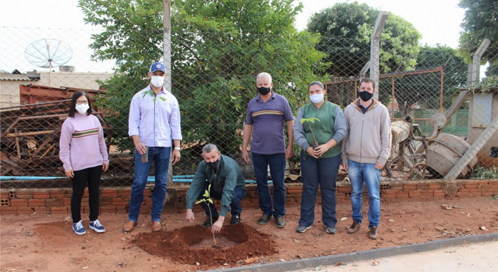 Governo Municipal de Aparecida D'Oeste realiza plantio de mudas de árvores