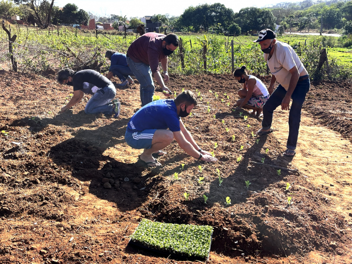 Foram plantadas mudas de alface e rúcula na primeira horta urbana do projeto Jardim que Alimenta