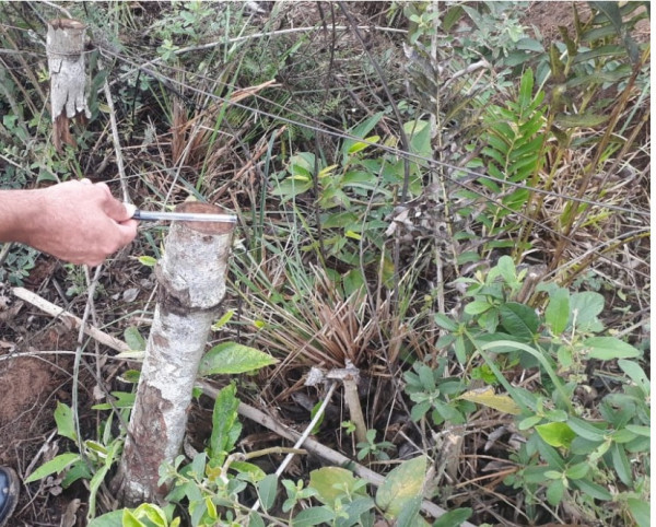 No local foram constatados corte de árvores de preservação permanente, uma barragem e desvios irregulares de água do córrego - Fotos: Divulgação/Polícia Ambiental