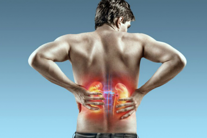 Rins: como cuidar desta dupla vital para o bem estar de nosso corpo?