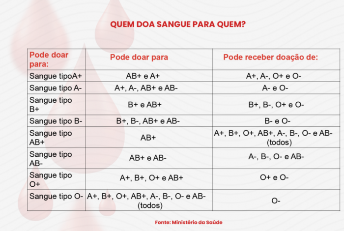 Imagem 3 da galeria