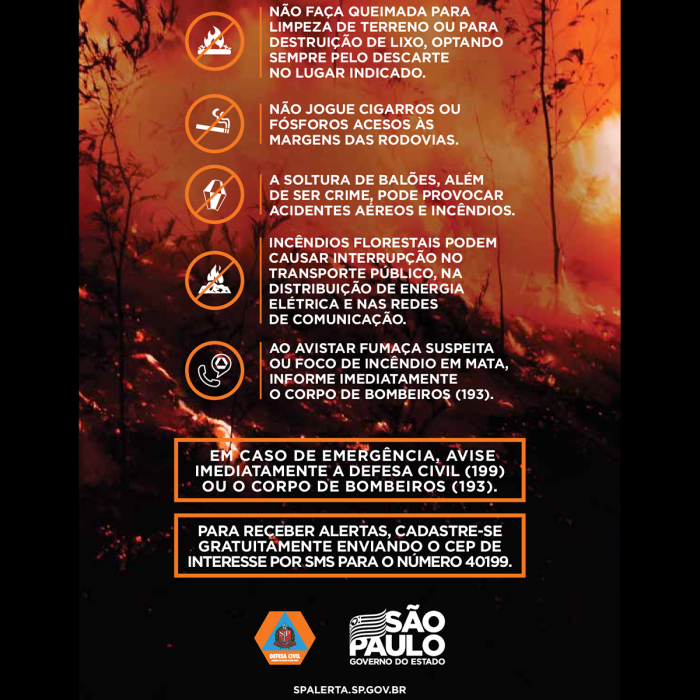 Imagem 3 da galeria