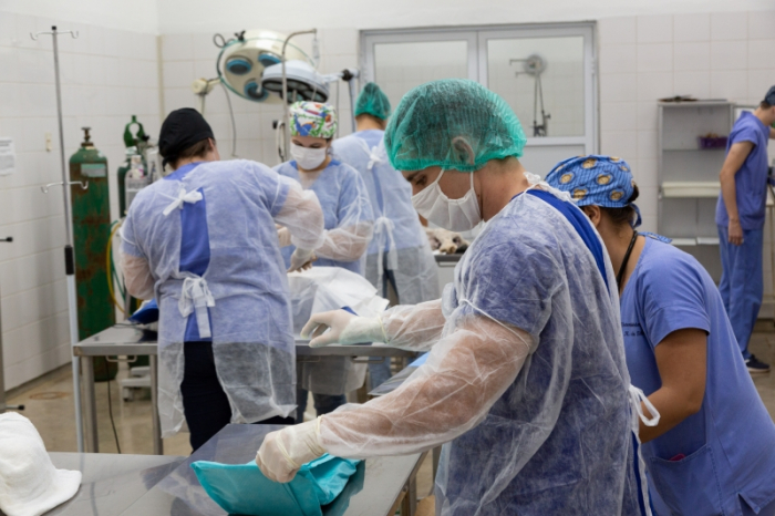 Hospital Veterinário da Universidade Brasil está aberto ao público
