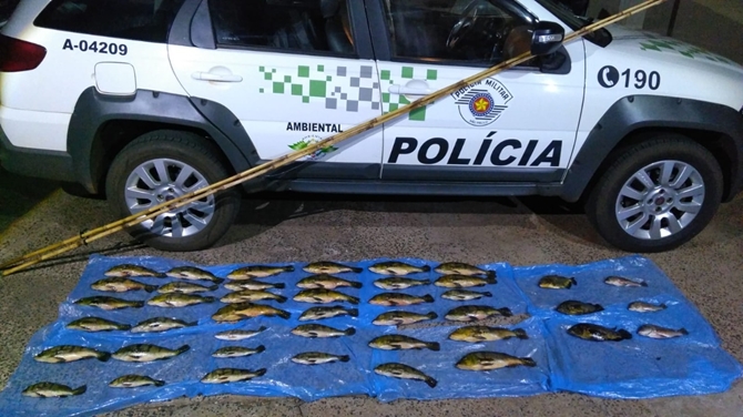 Pescadores amadores são multados em mais de R$ 4 mil em Populina