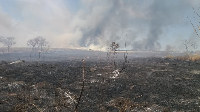 Polícia Ambiental multa proprietário em mais de R$120 mil por área queimada