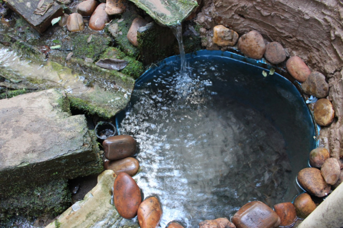 Na Estância Água Santa há uma nascente preservada que desagua no Córrego do Veadão