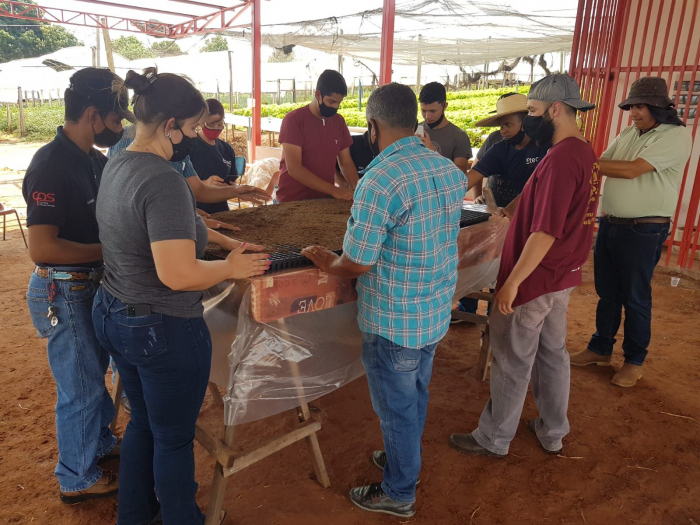 Os 15 alunos do curso aprenderam sobre produção de mudas de hortaliças, viveiros com mudas em recipientes, substratos, recipientes, aquisição de sementes entre outros assuntos