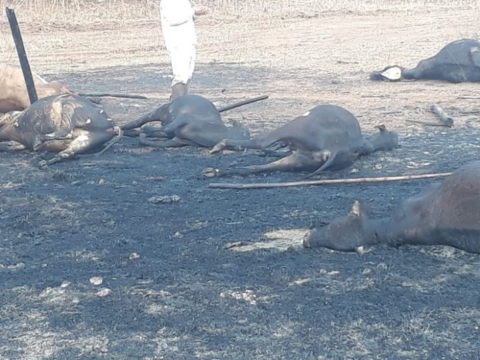 Grandes e pequenos focos de incêndio deixam céu acinzentado em toda região