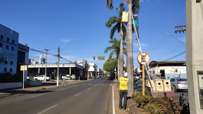 A Avenida João Amadeu ganhou três unidades de ninhos artificiais