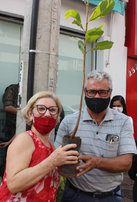 Quem passou pelo centro da cidade recebeu mudas de árvores frutíferas na tarde de terça-feira
