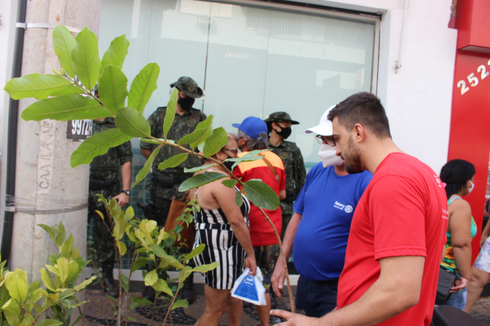 Mudas frutíferas das espécies de goiaba, pinha, pitanga, tamarindo e caju, além de mudas medicinais de insulina foram distribuídas para a população