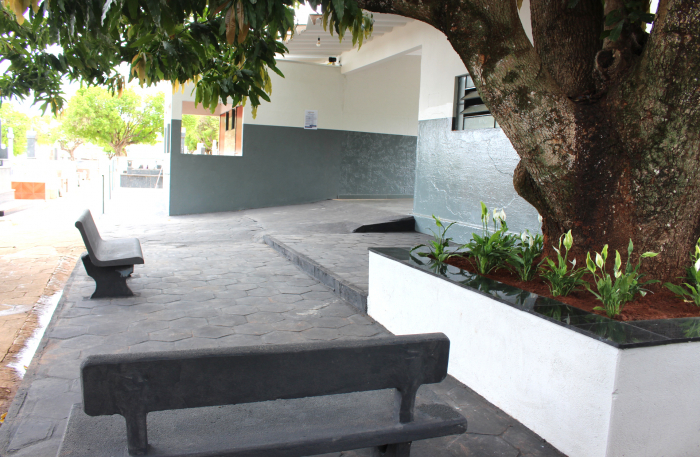 Imagem 7 da galeria
