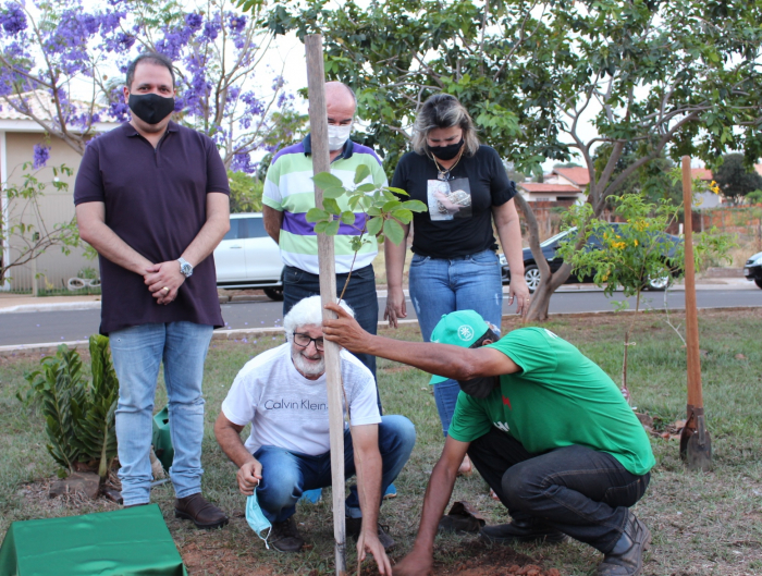 Um dos ipês amarelos foi plantado em homenagem ao professor e artista Rui Rodrigues