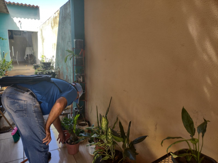Os agentes de saúde durante vistoria em busca de focos de dengue