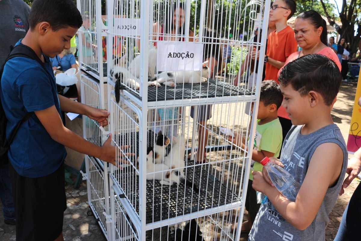 Feira de Adoção de Animais será neste sábado na Praça João Mariano de Freitas