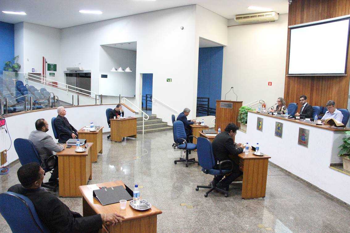 Vereadores de Jales aprovam projeto que proíbe alimentar pombos