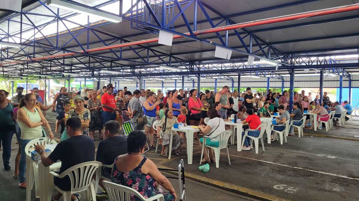 Imagem 3 da galeria