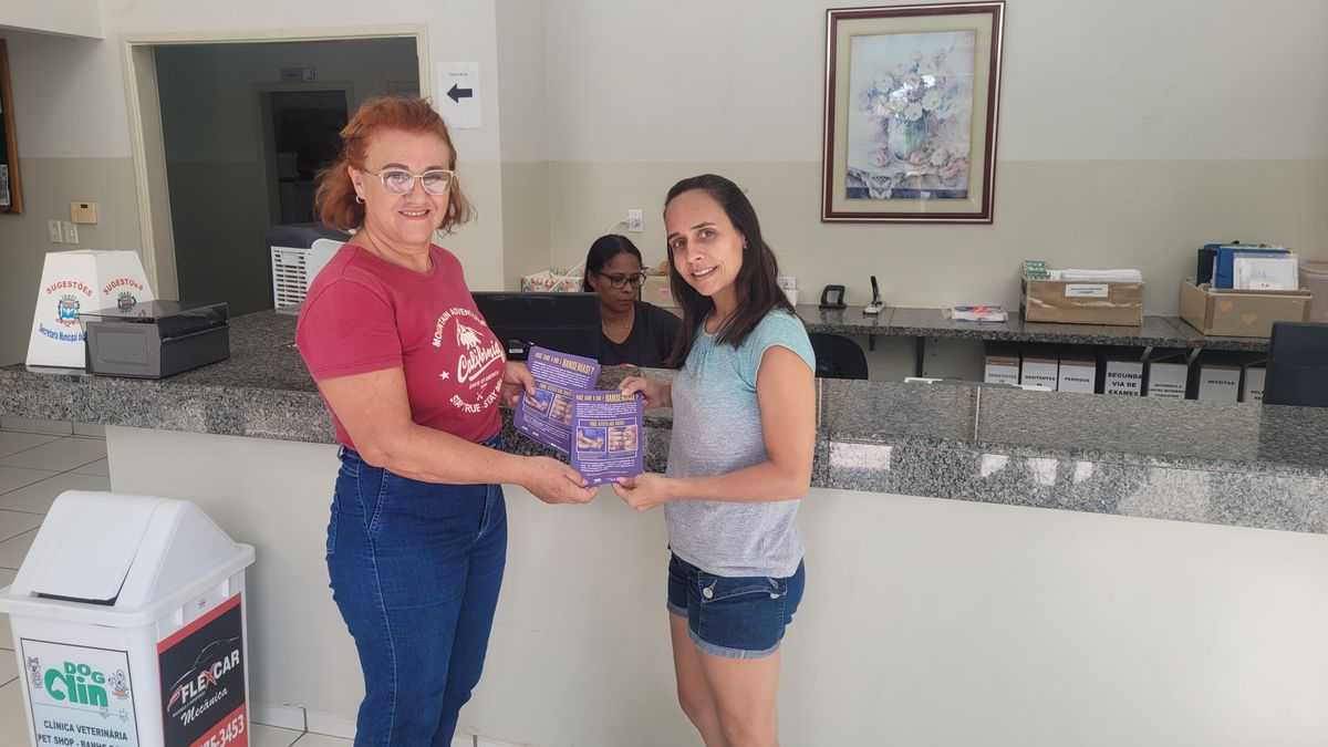 Imagem 2 da galeria