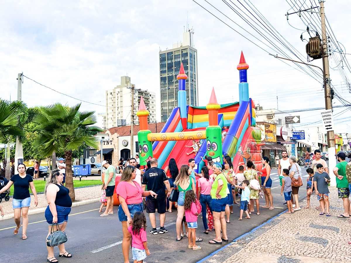Imagem 3 da galeria