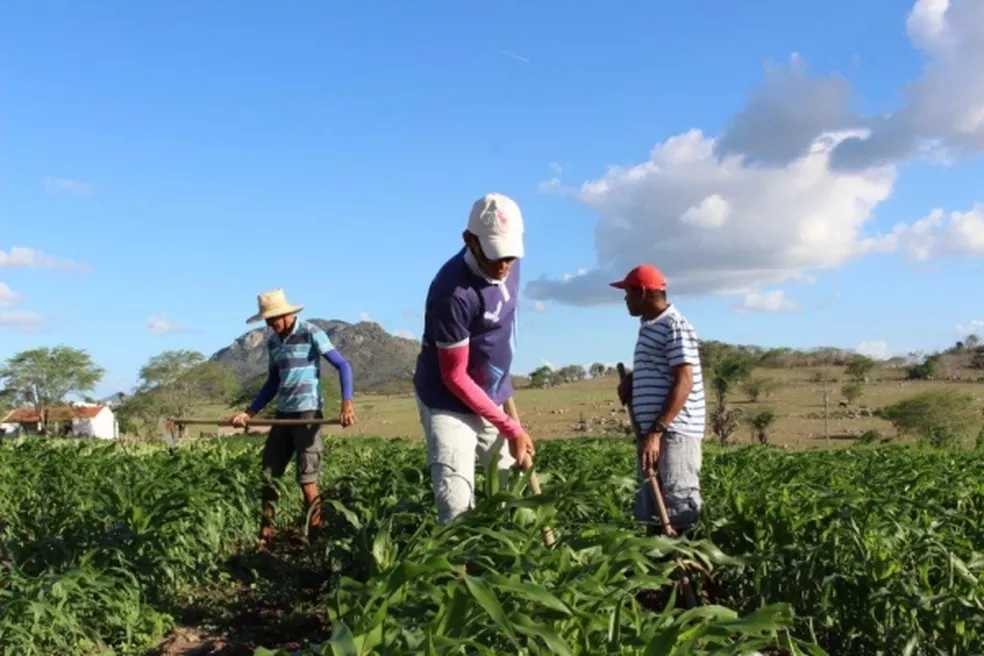 SP quer zerar ‘fila" de 260 mil análises do Cadastro Rural pendentes de verificação por proprietários