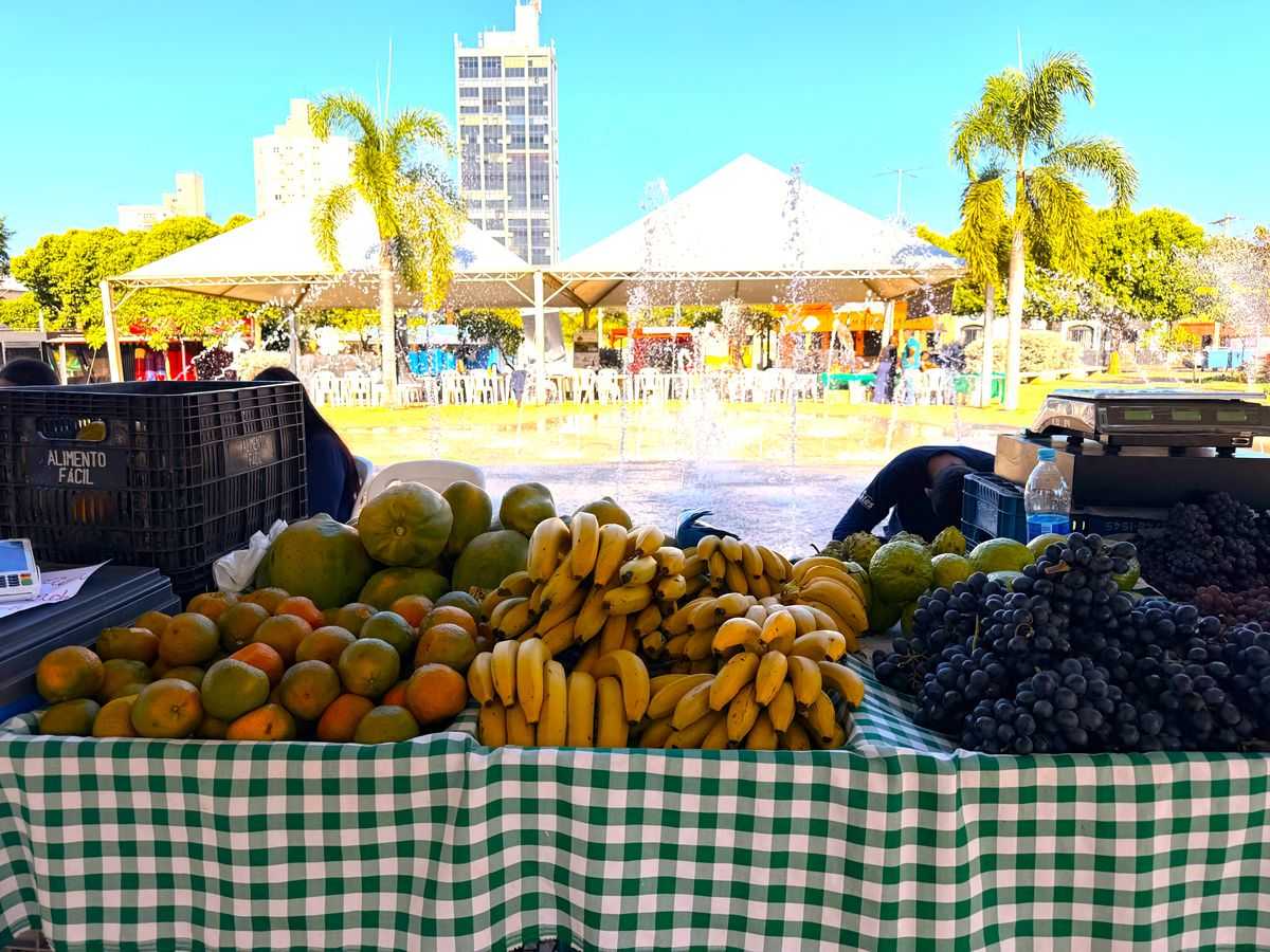 Feira da Agricultura Familiar reúne produtores, instituições e fortalece o desenvolvimento rural em Jales