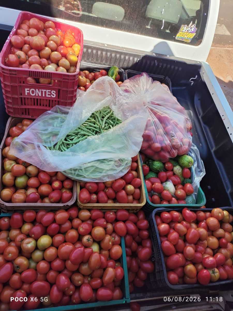 Fundo Social recebe doações de legumes de produtores rurais da região