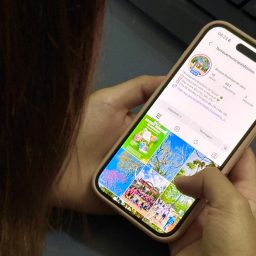 Bosque de Jales ganha perfil no Instagram para aproximar a comunidade e divulgar novidades