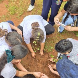 Estudantes de Dolcinópolis plantam mudas no Dia da Árvore, em parceria com usina